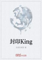 封印之剑攻略图文完美攻略中文版